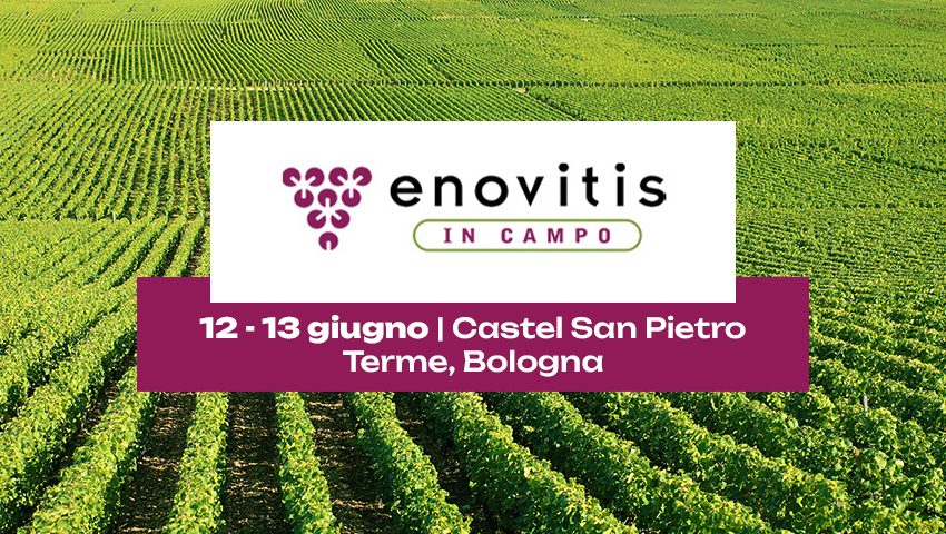 Enovitis in Campo 2024: innovazioni per la viticoltura con Caffini