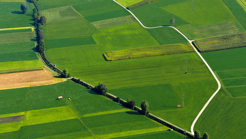 Sostenibilità in agricoltura: cosa significa, principi e tecniche